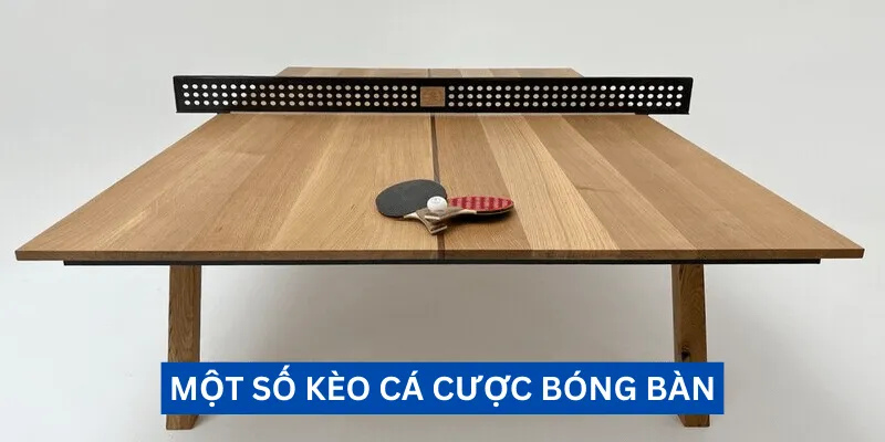 Một vài dạng kèo cá cược bóng bàn điển hình