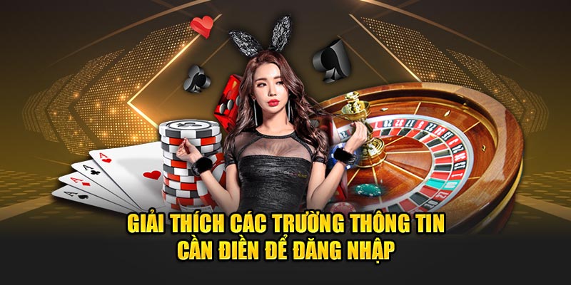 Giải thích các trường thông tin cần điền để đăng nhập