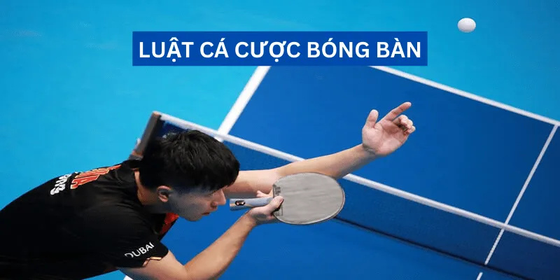 Luật cá cược bóng bàn